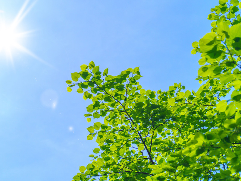 良質な医療を身近なところに